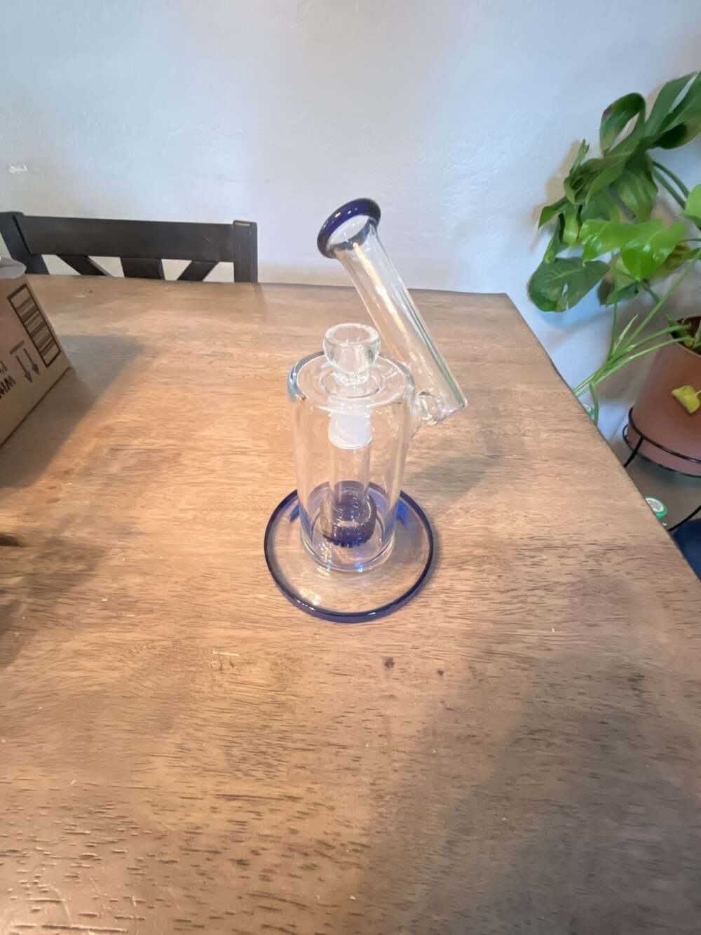 Blue Accented Glass Bubbler with Showerhead Perc